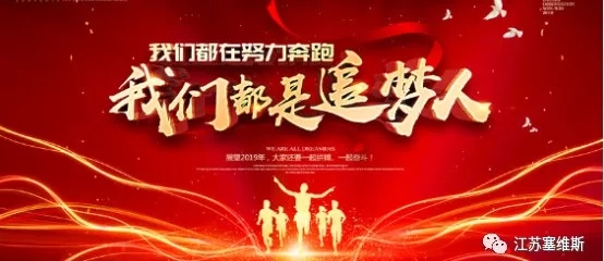 塞维斯中走丝