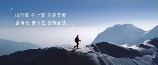 塞维斯中走丝